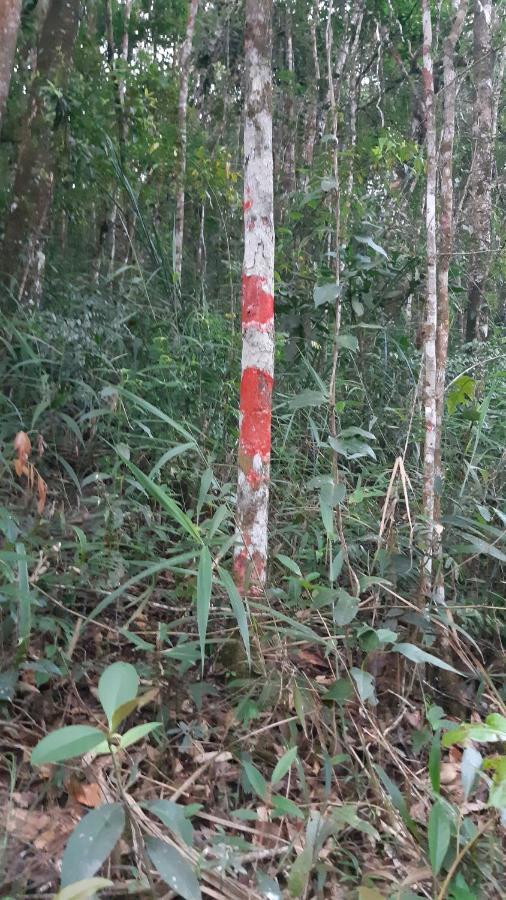 Villa Sossego Da Mata Santo Antônio do Leite Esterno foto