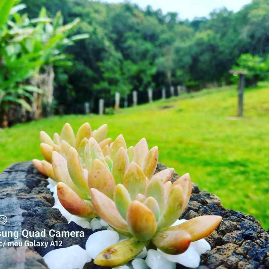 Villa Sossego Da Mata Santo Antônio do Leite Esterno foto