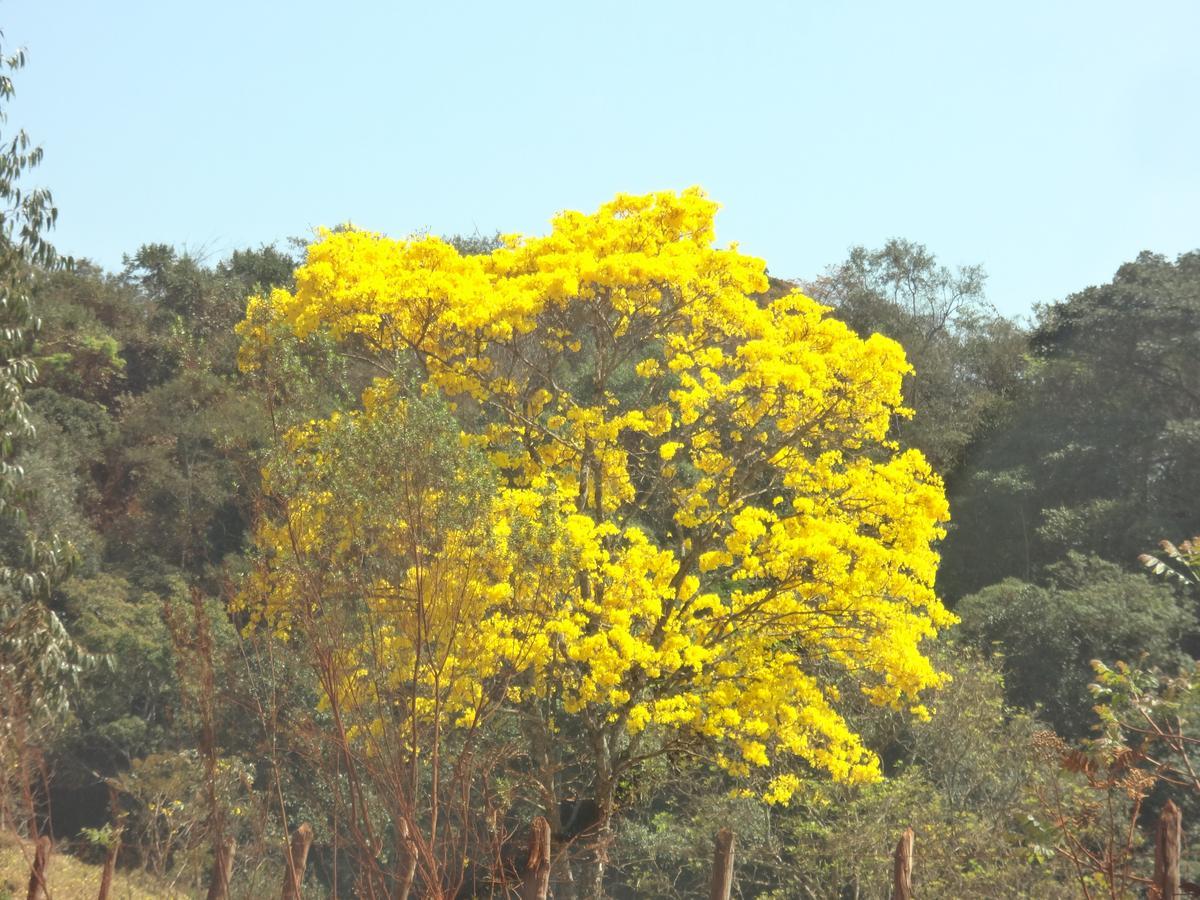 Villa Sossego Da Mata Santo Antônio do Leite Esterno foto
